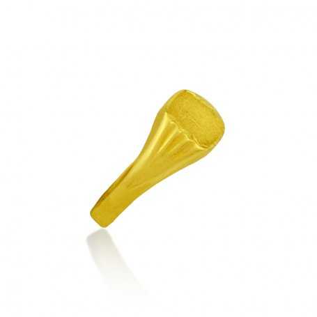 Sello Cadete Oro Realzado 9k Claw | CON DESCUENTO | Joyerías ARESSO