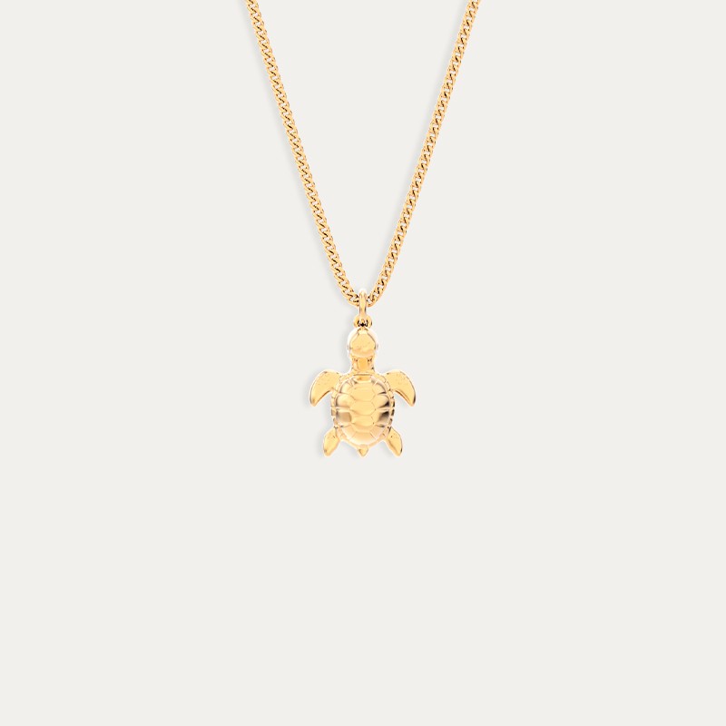 Collar Acero Dorado Tortuga Chocli