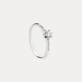 Sortija Oro 18K Blanco Brillante Alas