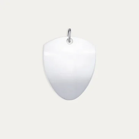 Chapa Escudo Personalizada Plata